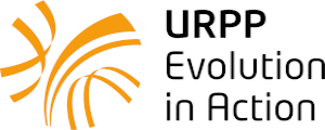 URPP Evolution in Action